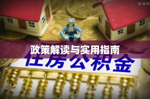 格尔木政策解读与实用指南