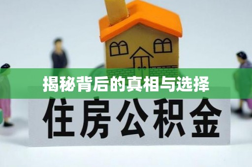 格尔木揭秘背后的真相与选择