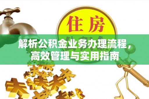 格尔木解析公积金业务办理流程，高效管理与实用指南