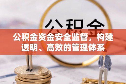 格尔木公积金资金安全监管，构建透明、高效的管理体系