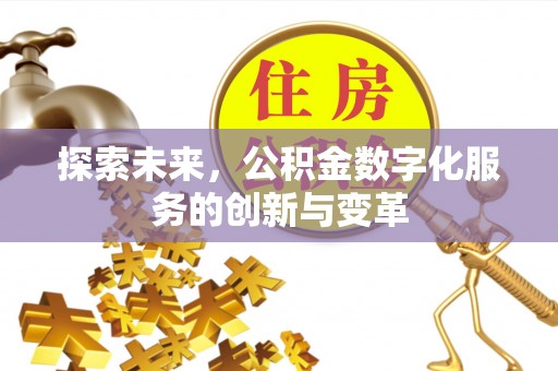 格尔木探索未来，公积金数字化服务的创新与变革
