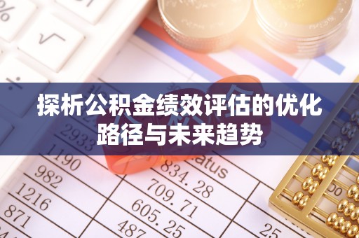 格尔木探析公积金绩效评估的优化路径与未来趋势