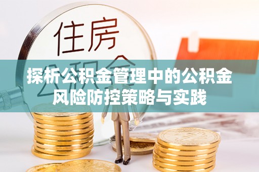 格尔木探析公积金管理中的公积金风险防控策略与实践