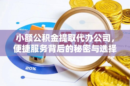 格尔木小额公积金提取代办公司，便捷服务背后的秘密与选择指南