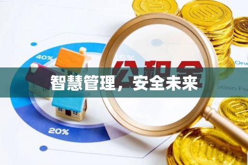 格尔木智慧管理，安全未来
