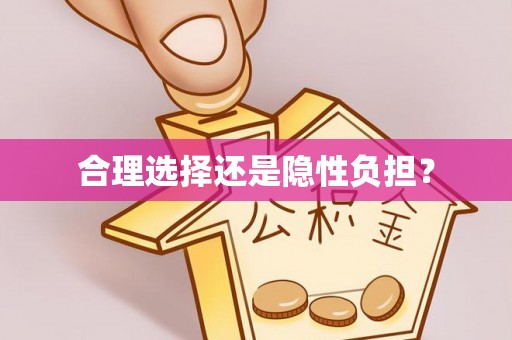 格尔木合理选择还是隐性负担？
