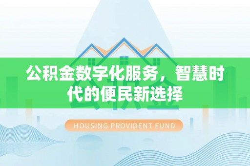 格尔木公积金数字化服务，智慧时代的便民新选择
